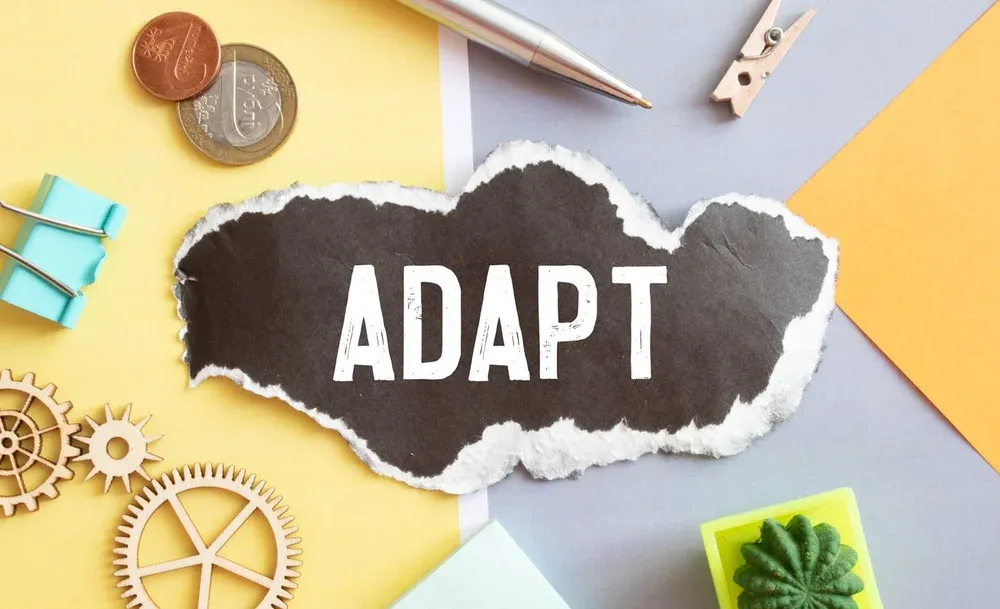 Adaptability: the second of three critical foundations for technology strategy and architecture in a fast-changing world